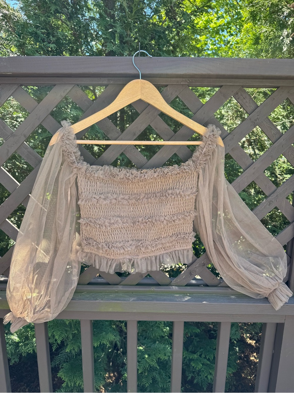 Smocked Sheer Puff-Sleeve Crop Top - Taupe